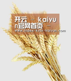 开云 - kaiyun官网首页 - 赛事直播平台