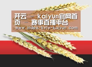 开云 - kaiyun官网首页 - 赛事直播平台