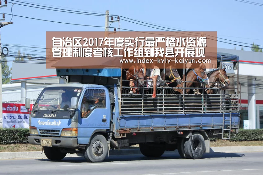 自治区2017年度实行最严格水资源管理制度考核工作组到我县开展现场检查-开云品牌(图1) 开云品牌