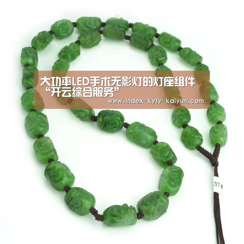 大功率LED手术无影灯的灯座组件“开云综合服务”(图1) 开云品牌