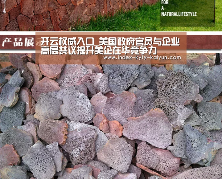 开云权威入口_美国政府官员与企业高层共议提升美企在华竞争力(图1) 开云品牌