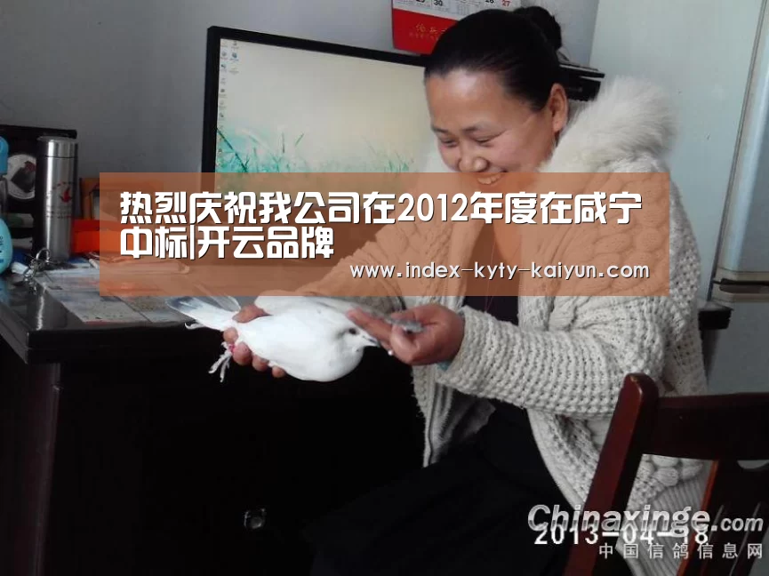 热烈庆祝我公司在2012年度在咸宁中标|开云品牌(图1) 开云中国官网