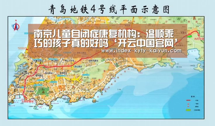 南京儿童自闭症康复机构:温顺乖巧的孩子真的好吗‘开云中国官网’(图1) 开云权威入口