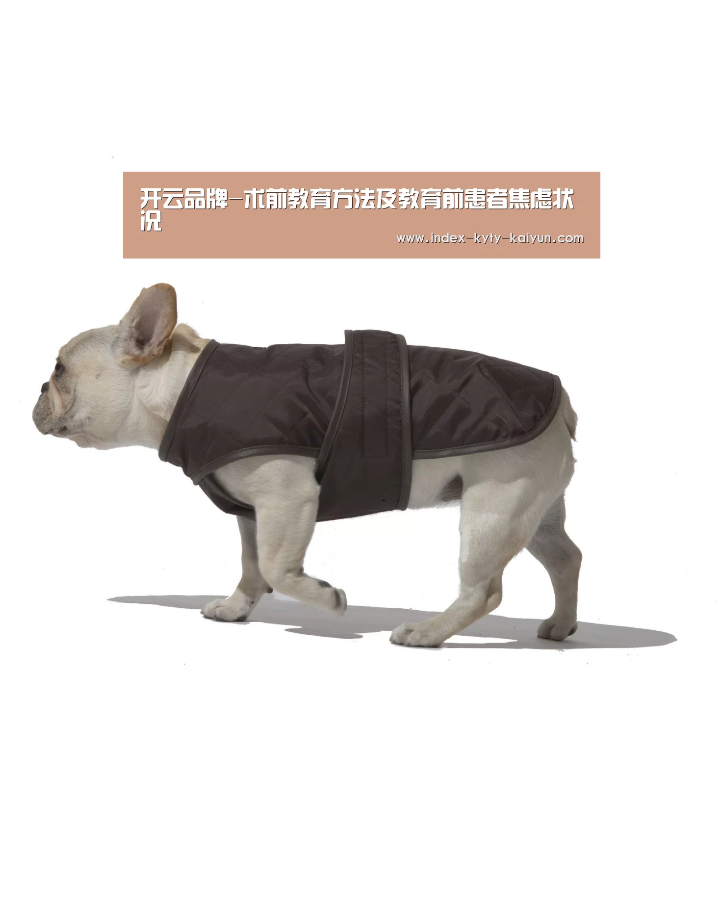 开云品牌-术前教育方法及教育前患者焦虑状况(图2) 开云官方平台