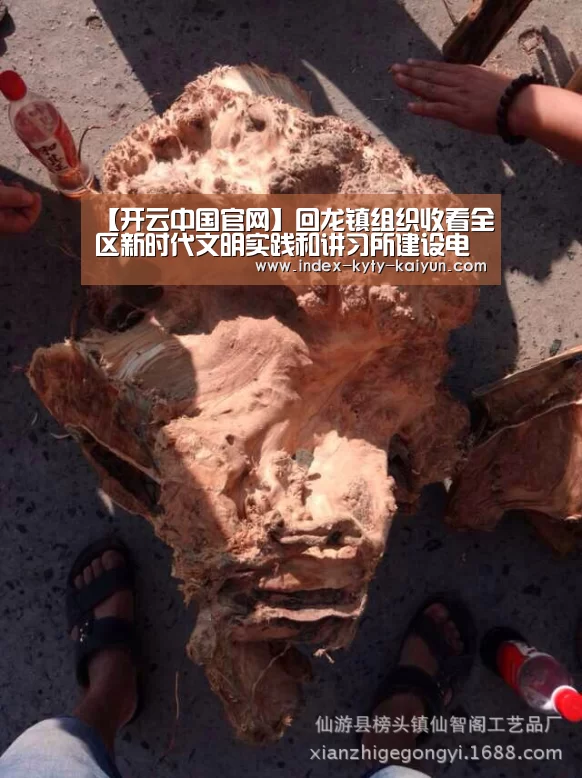 【开云中国官网】回龙镇组织收看全区新时代文明实践和讲习所建设电视电话会议(图1) 开云品牌