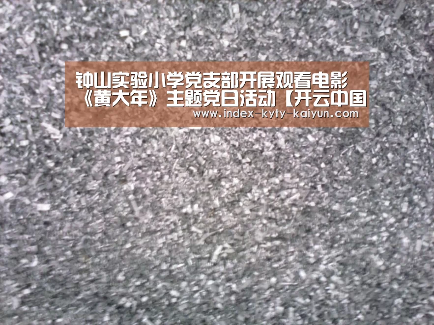钟山实验小学党支部开展观看电影《黄大年》主题党日活动【开云中国官网】(图1) 开云官方平台