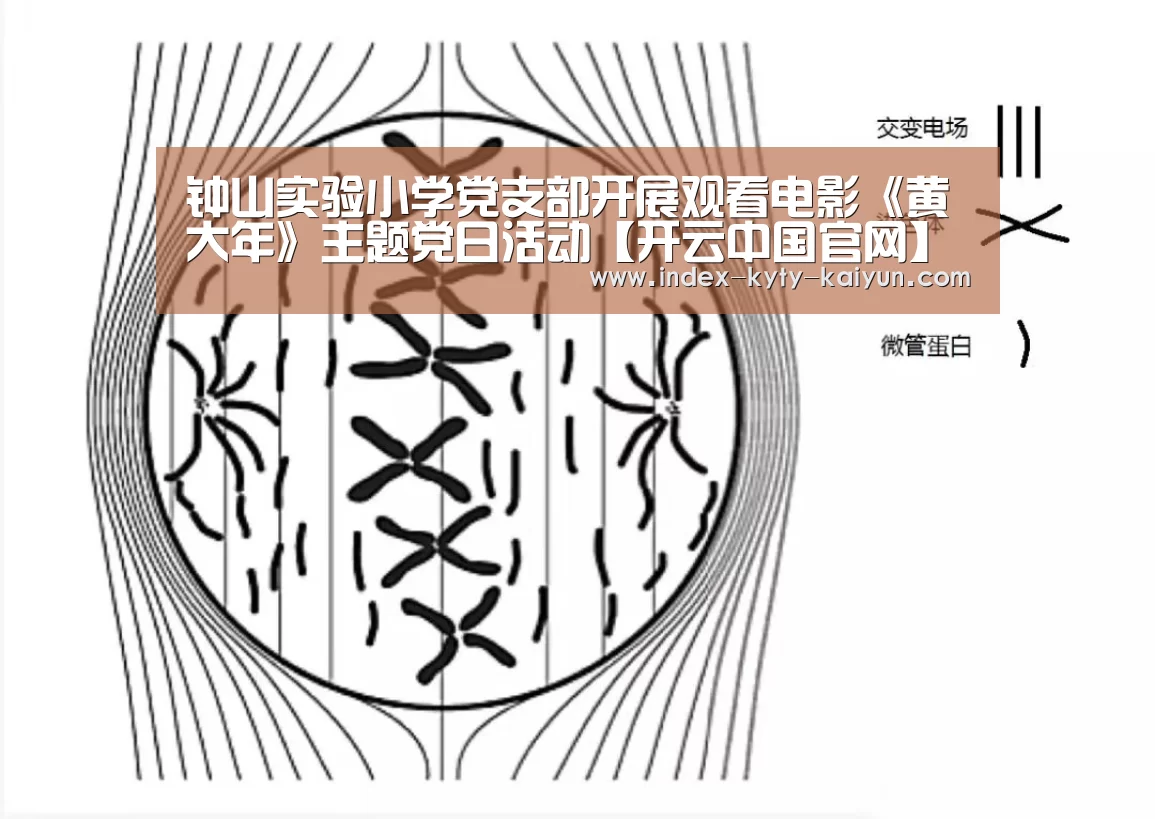 钟山实验小学党支部开展观看电影《黄大年》主题党日活动【开云中国官网】(图2) 开云官方平台