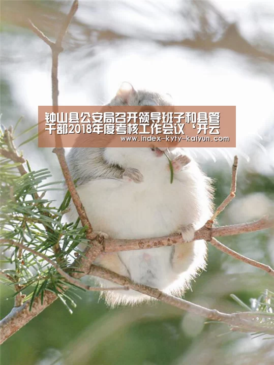 开云综合服务